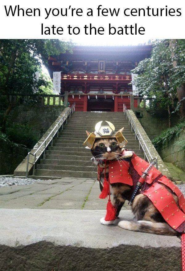 Acid Picdump. Part 2 (94 pics)