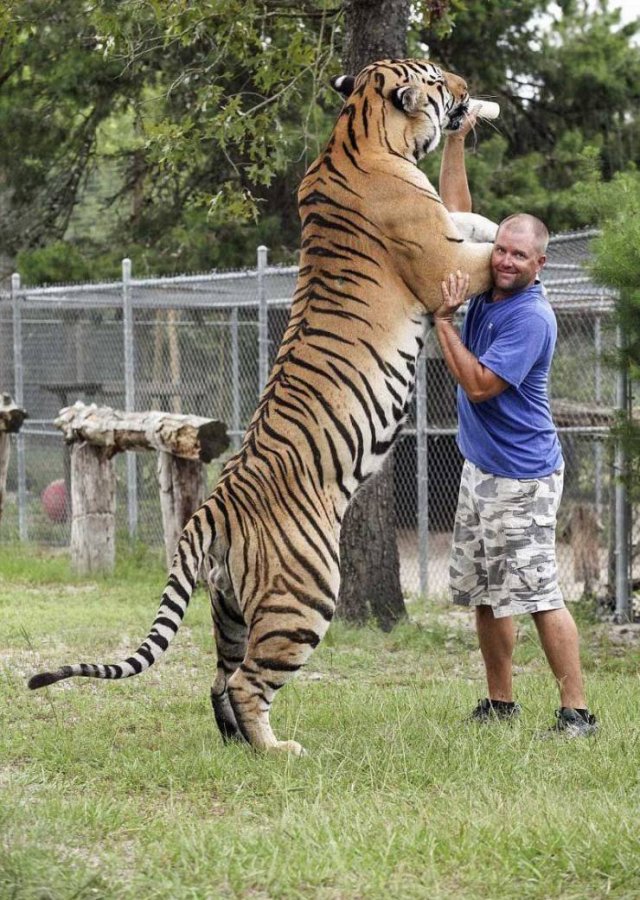 Acid Picdump. Part 2 (94 pics)
