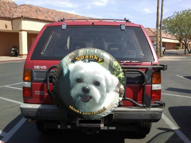 Acid Picdump. Part 2 (94 pics)