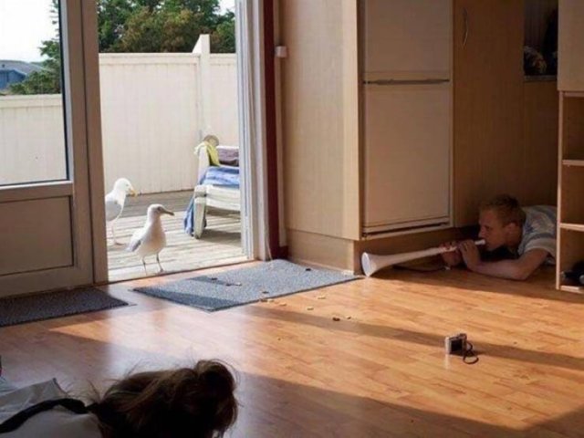 Acid Picdump. Part 2 (94 pics)
