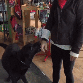 Acid Gifdump, August 21 (25 gifs)
