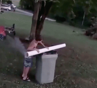 Acid Gifdump, August 21 (25 gifs)
