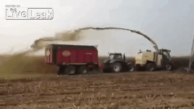 Acid Gifdump, August 21 (25 gifs)