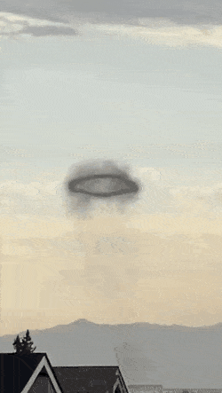 Acid Gifdump, August 21 (25 gifs)