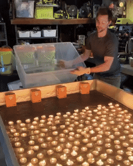 Acid Gifdump, August 21 (25 gifs)