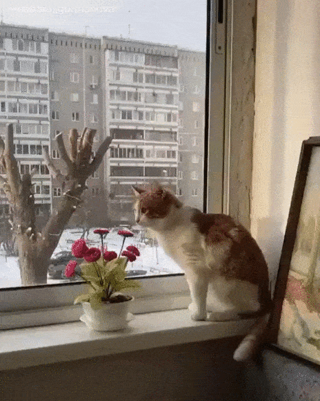 Acid Gifdump, August 21 (25 gifs)