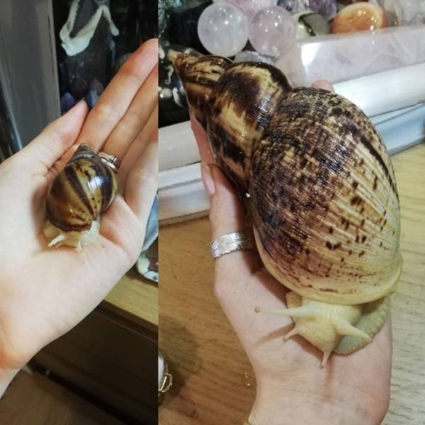 Comparison Matters (18 pics) Comparison Matters (18 pics)