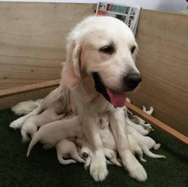 Look Twice (20 pics)