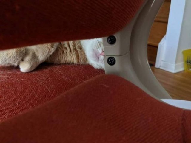 Look Twice (20 pics)