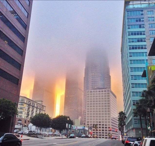 Look Twice (20 pics)