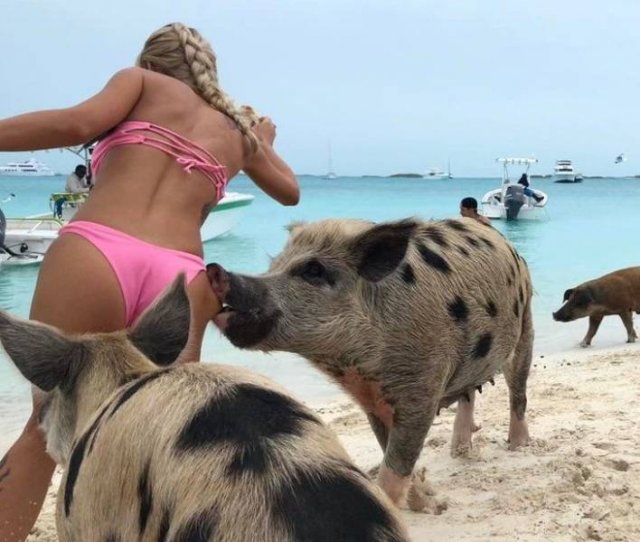 Pics For Grown-Ups (66 pics)