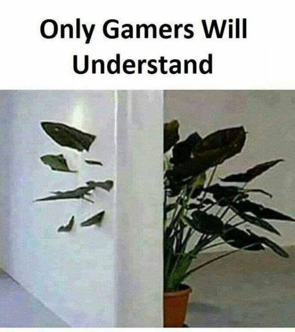 Pictures For Gamers (47 pics)