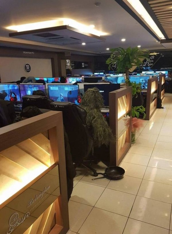 Pictures For Gamers (47 pics)