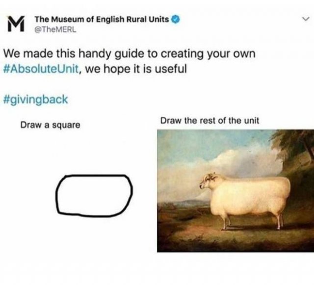 Unclear Instructions (28 pics)