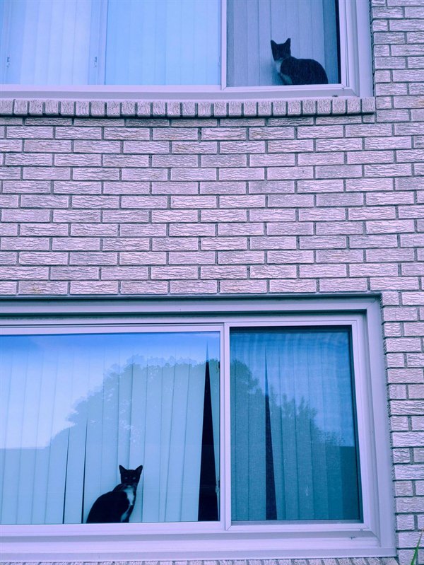 Awesome Things (21 pics)