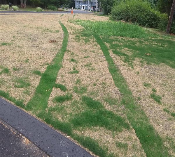 Awesome Things (21 pics)