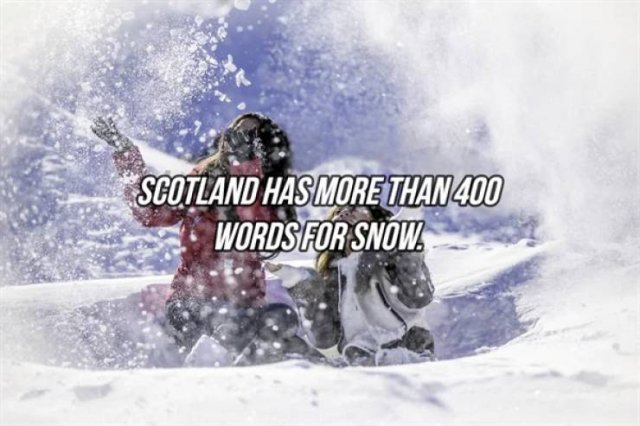 Interesting Facts (24 pics)