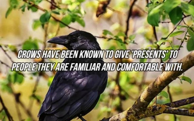 Interesting Facts (24 pics)