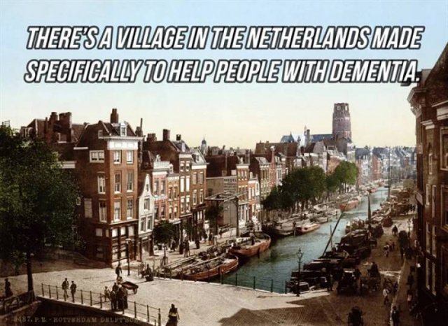 Interesting Facts (24 pics)