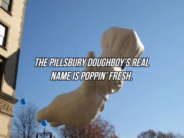 Interesting Facts (24 pics)