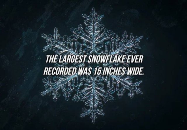 Interesting Facts (24 pics)