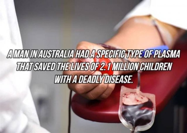Interesting Facts (24 pics)