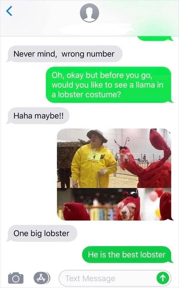 Wrong Number Texts (24 pics)