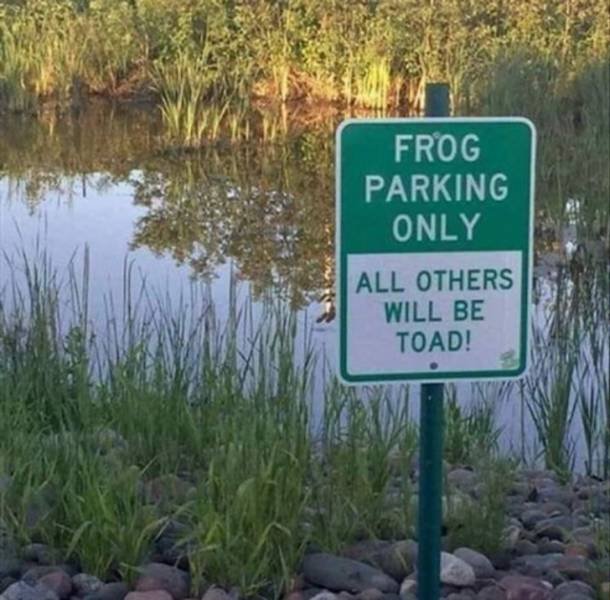 Funny Pictures (42 pics)