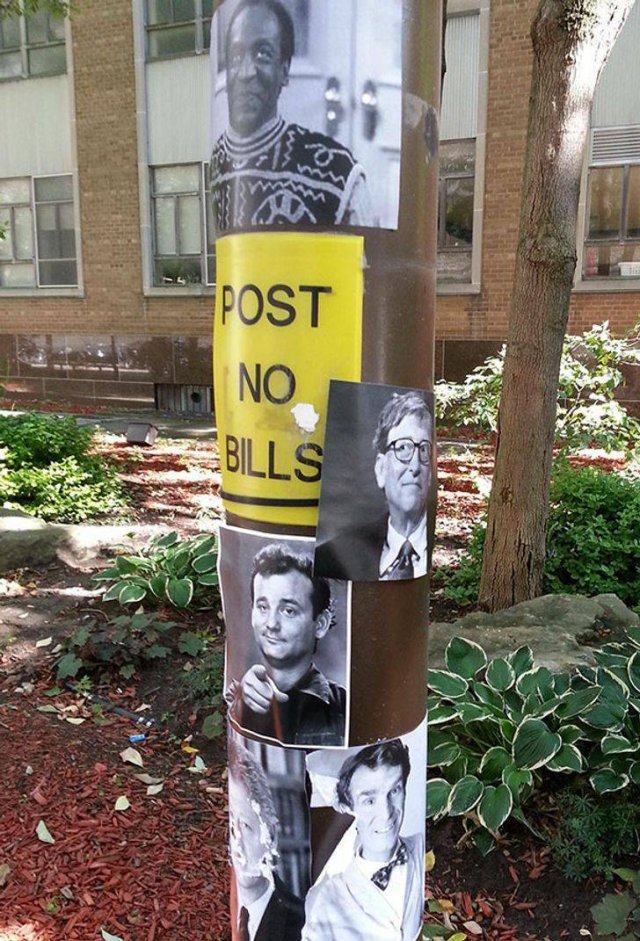 Funny Pictures (42 pics)