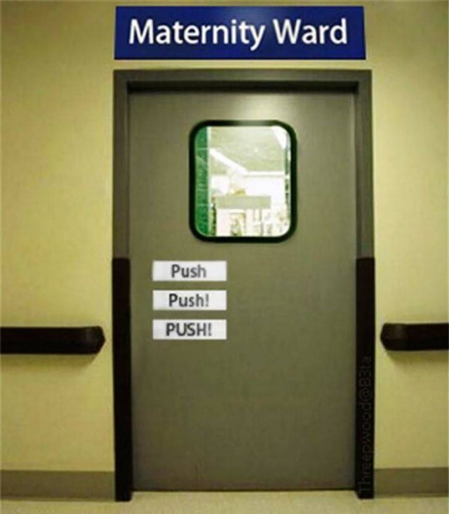 Funny Pictures (42 pics)