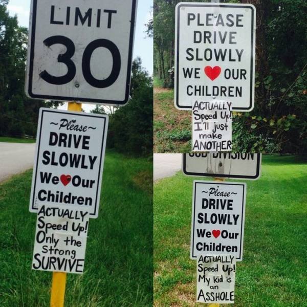 Funny Pictures (42 pics)