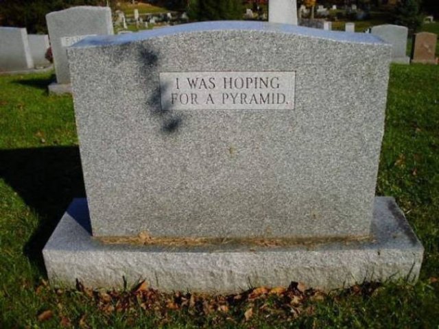 Funny Pictures (42 pics)