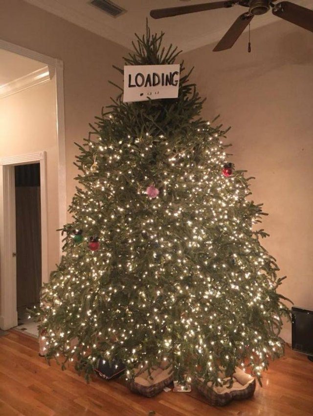 Funny Pictures (42 pics)