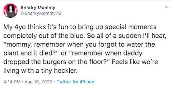 Parenting Tweets (26 pics)