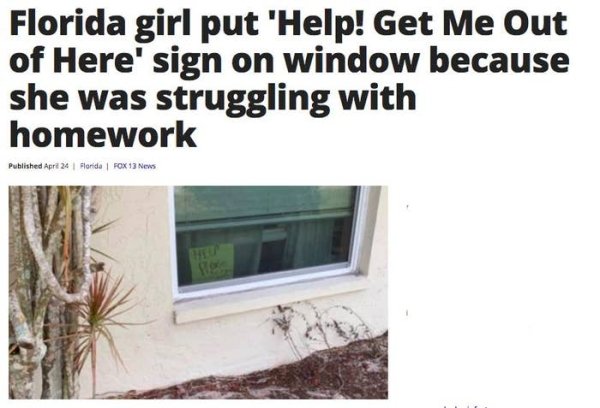 Florida News (29 pics)