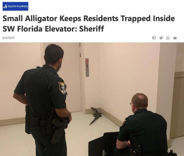 Florida News (29 pics)