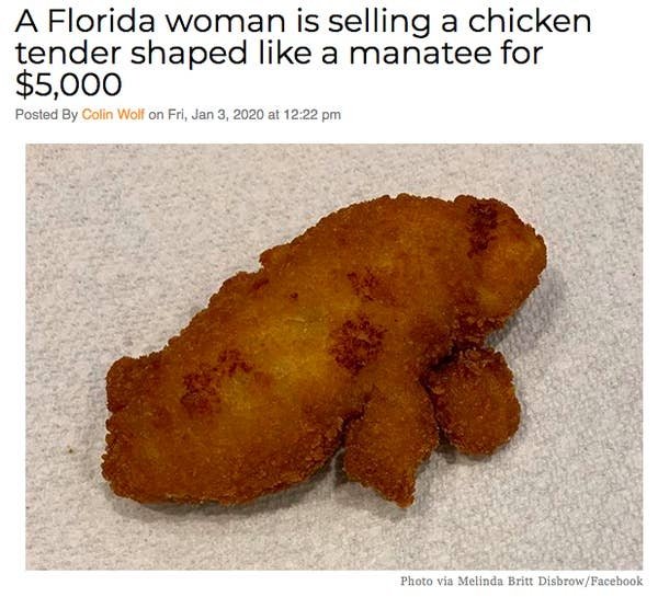 Florida News (29 pics)