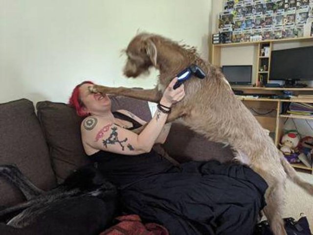Right Moment (40 pics)