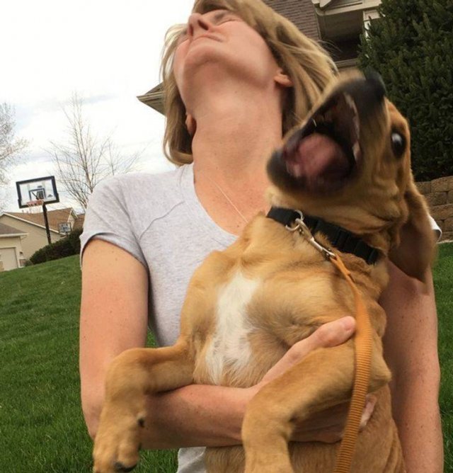 Right Moment (40 pics)