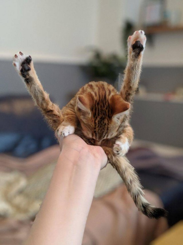 Right Moment (40 pics)