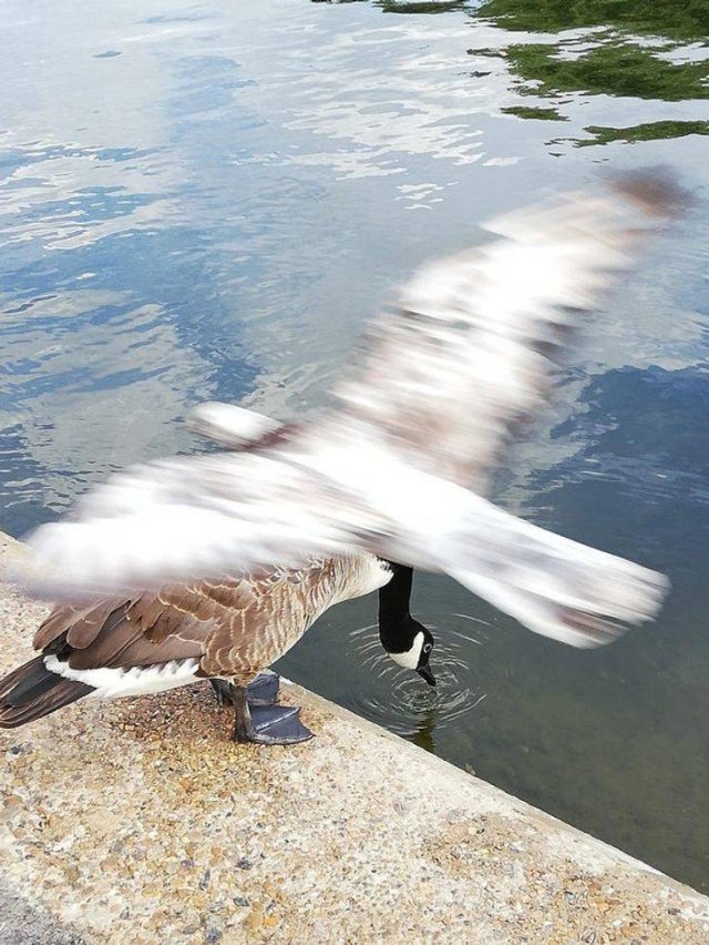 Right Moment (40 pics)