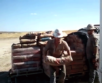 Fails (34 gifs) Fails (34 gifs)