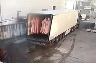 Fails (34 gifs) Fails (34 gifs)