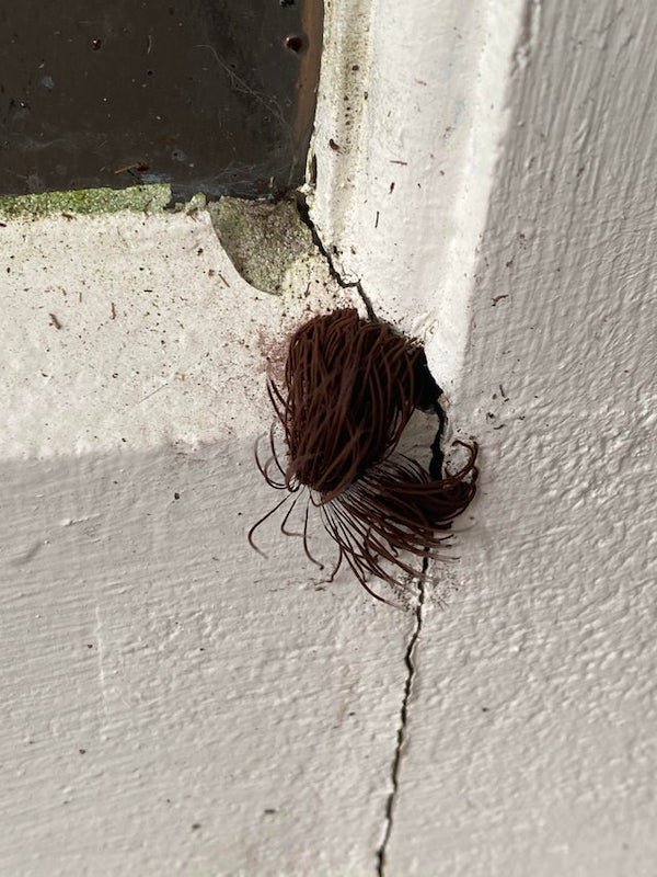 What Are These Things For? (19 pics)