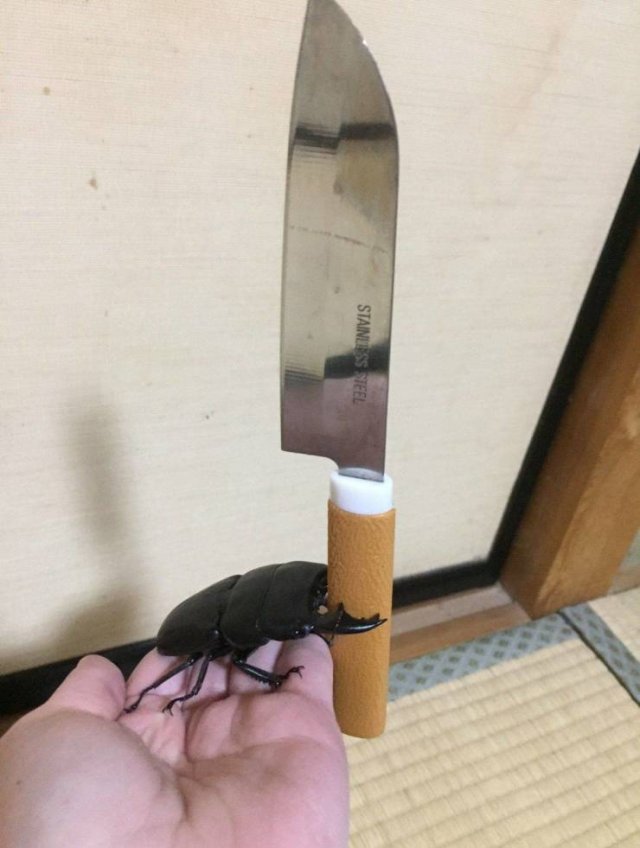 Acid Picdump. Part 1 (95 pics)