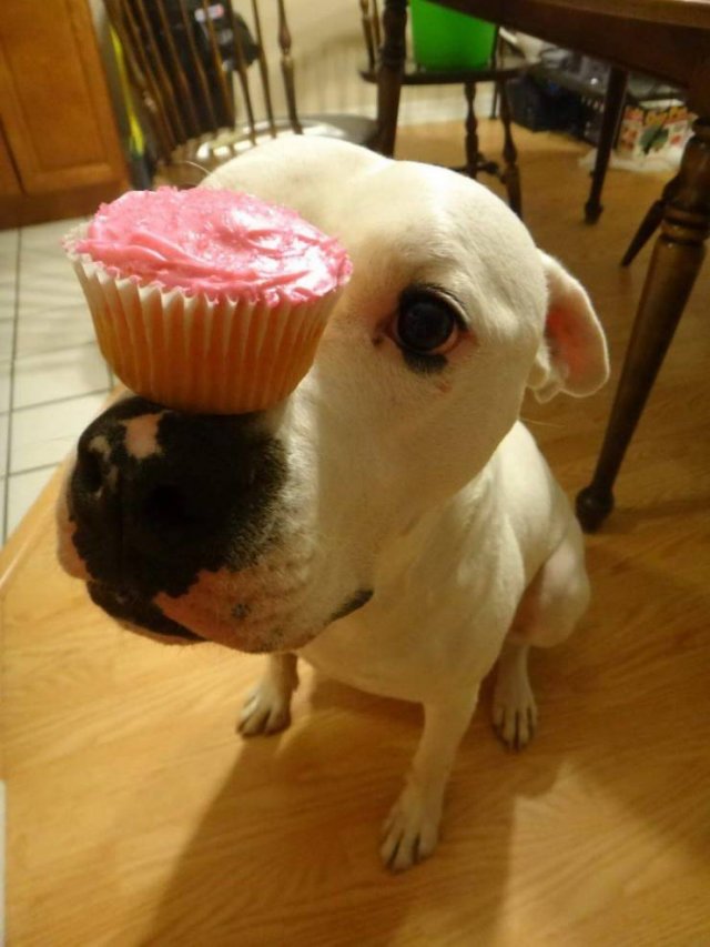Acid Picdump. Part 1 (95 pics)