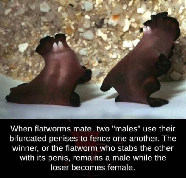 Acid Picdump. Part 2 (94 pics)