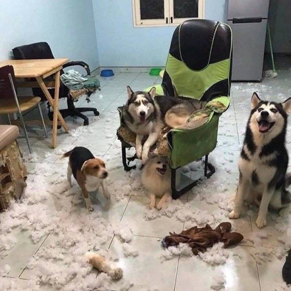 Acid Picdump. Part 2 (94 pics)