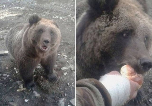 Acid Picdump. Part 1 (95 pics)