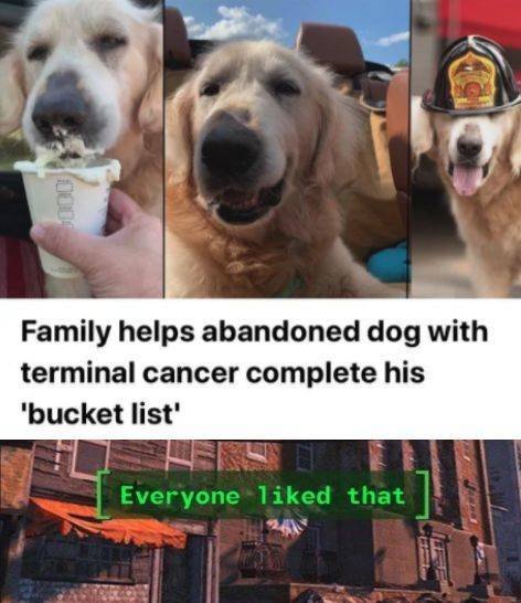 Acid Picdump. Part 2 (94 pics)